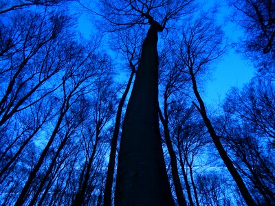 Canopy without sheet blue sky