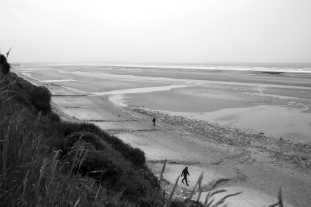 Ebb nature summer