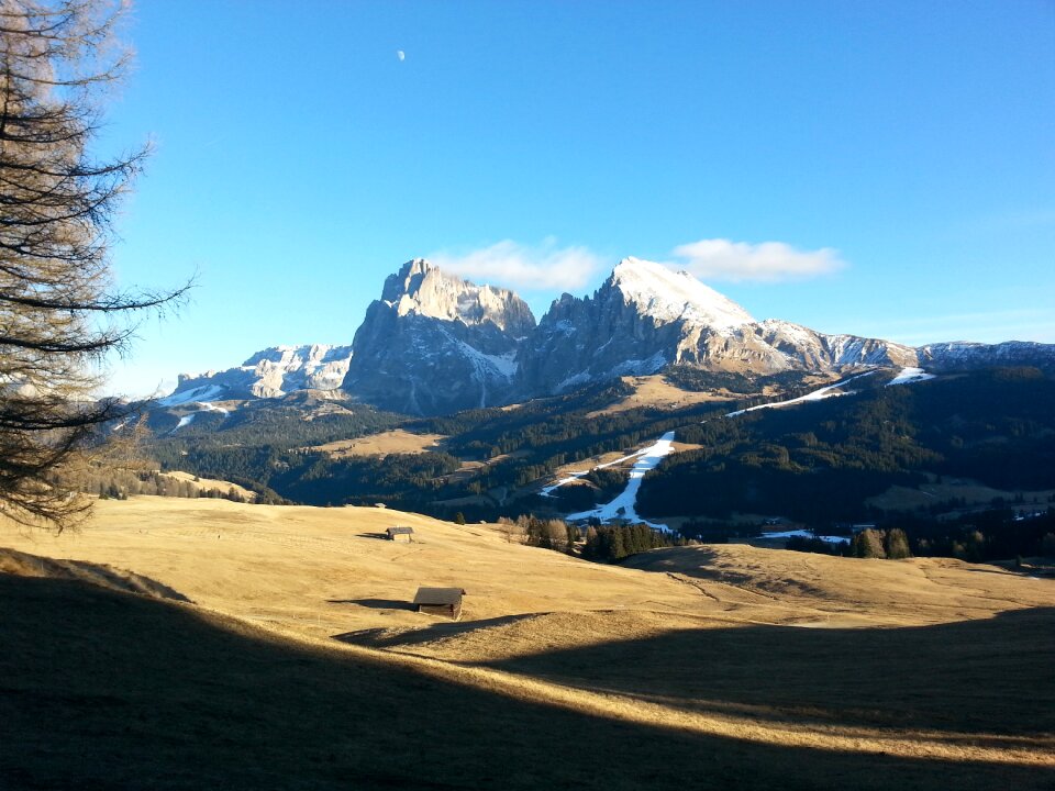 Nature italy golden autumn
