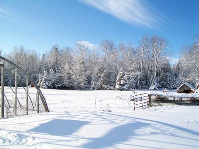 Countryside snow trees photo