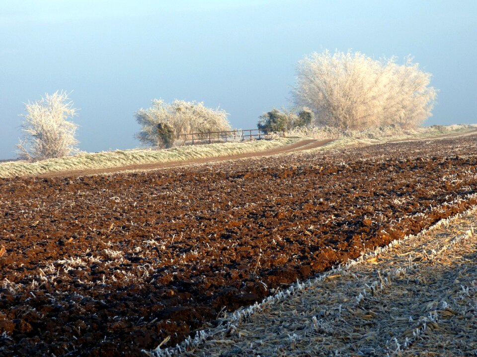 Gel frost field