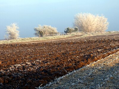 Gel frost field