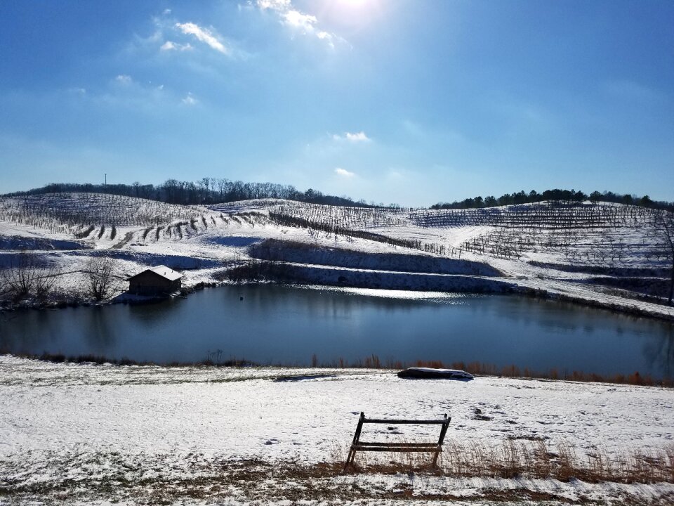 Winter nature landscape