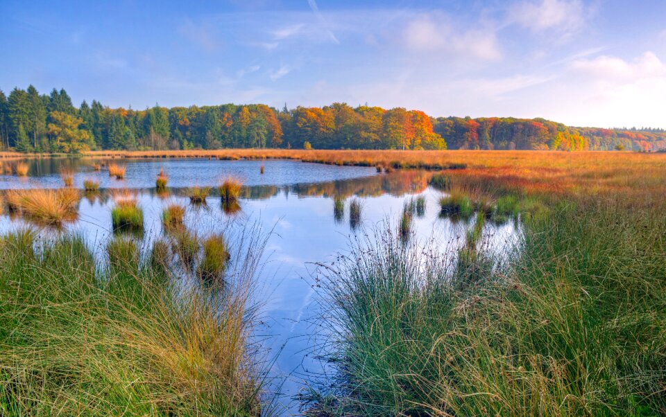 Reflection nature landscape