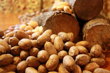 Nuts food