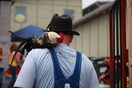 Overalls man rooster