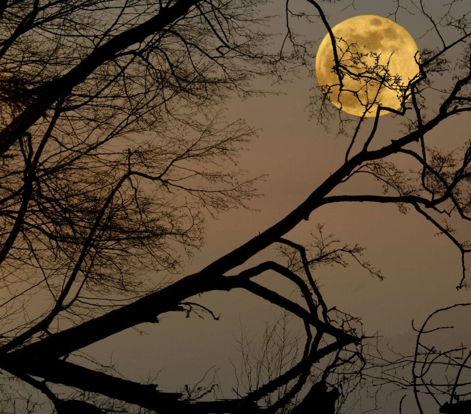 Darkness lunar landscape mystical