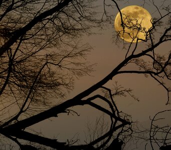 Darkness lunar landscape mystical photo