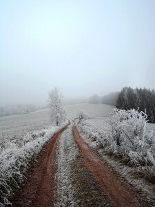 Meadow rime path photo