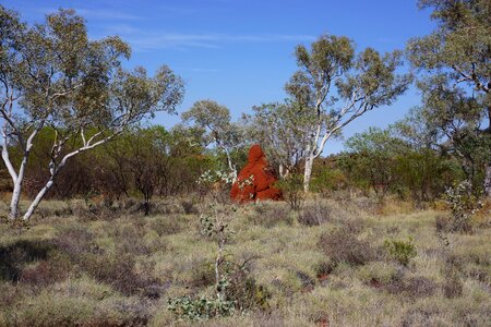 Landscape natural attraction western australia photo