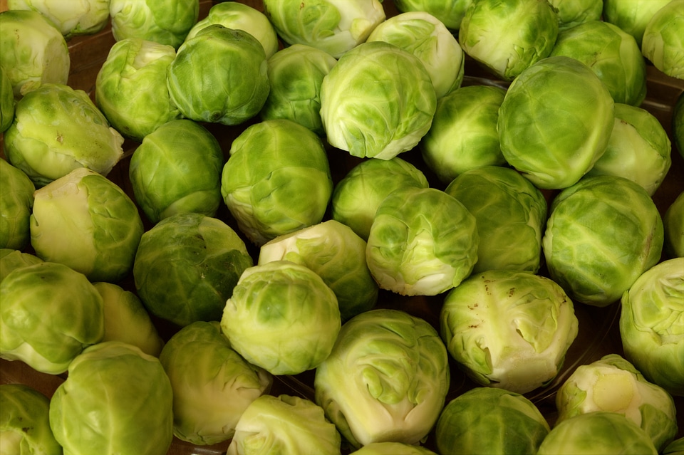 Edible healthy food