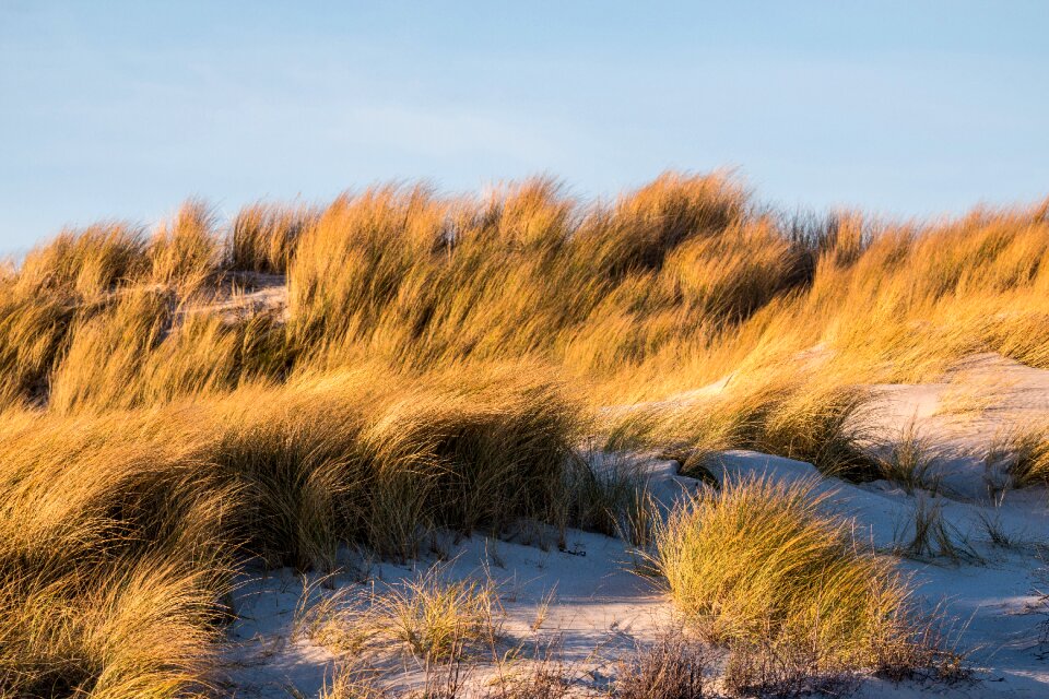 Sand beach coast photo