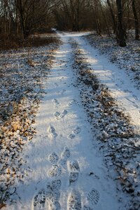 Walk winter track photo
