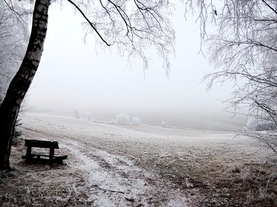 Meadow rime path photo