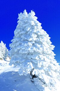 Snow sculpture rigi central switzerland photo