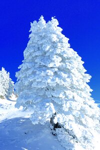 Snow sculpture rigi central switzerland