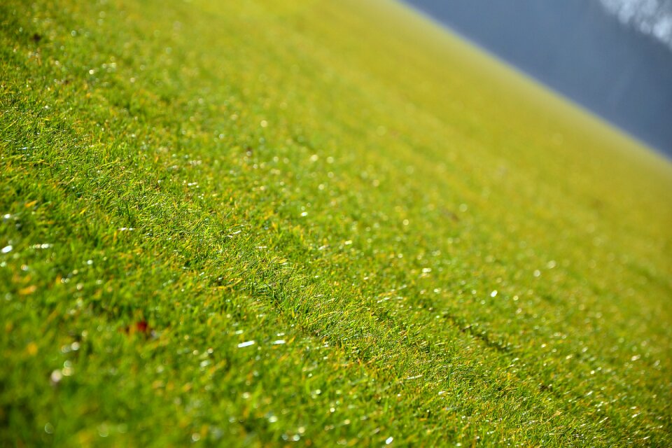 Green nature purity