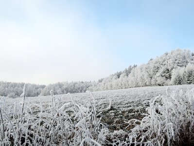 Meadow rime path photo