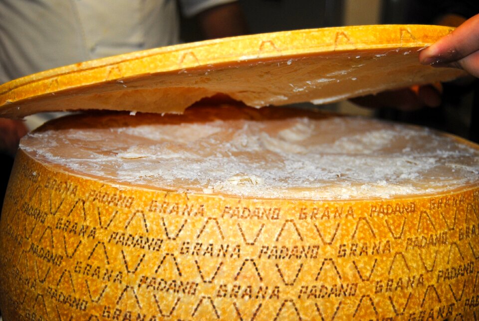 Grana padano cheese corporeal