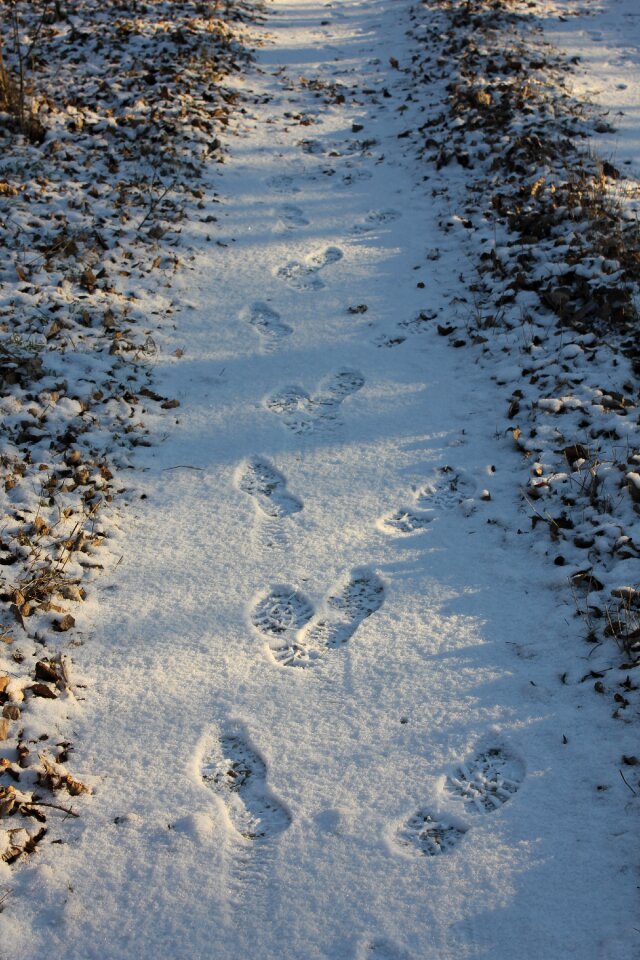 Print shoe footprint footprint