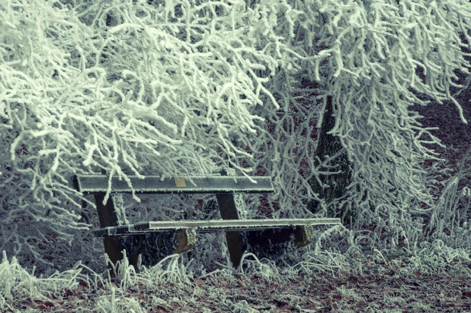 Winter eiskristalle cold