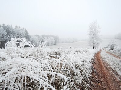 Meadow rime path photo