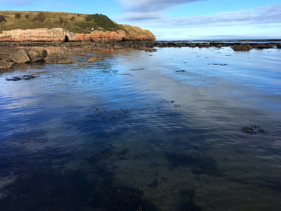 Rockpool coast blue