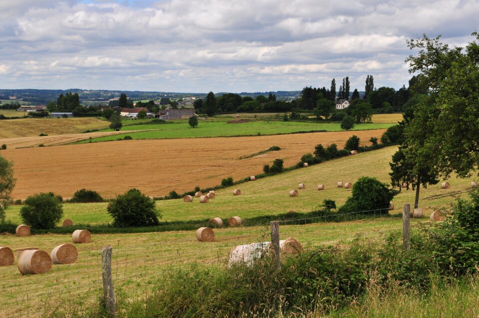 Landscape farm agriculture photo