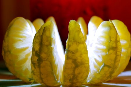 Citrus light replacement lamp