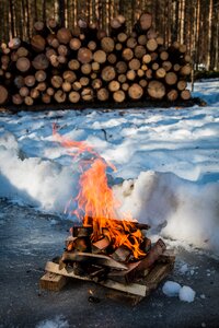 Snow nature woodpile