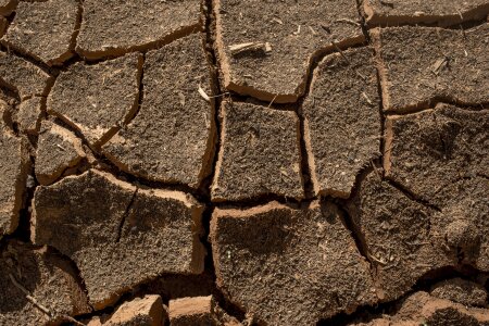 Cracks desert survade