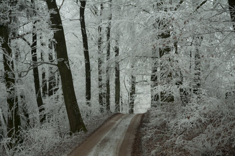 Winter eiskristalle cold