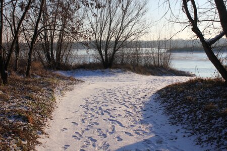 Winter nature frost photo