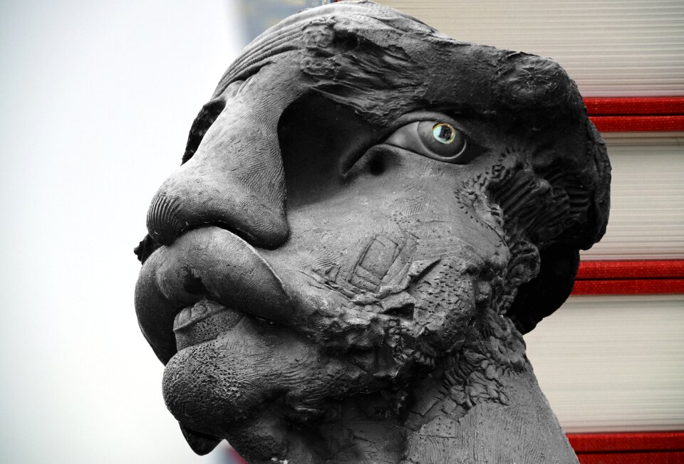 Face sculpture art