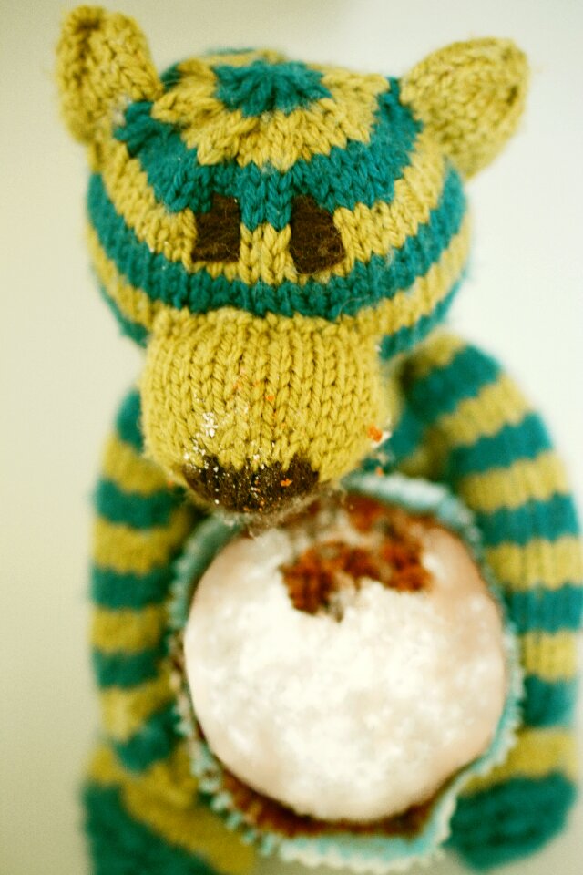 Nibble sweet bear