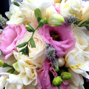 White roses flowers