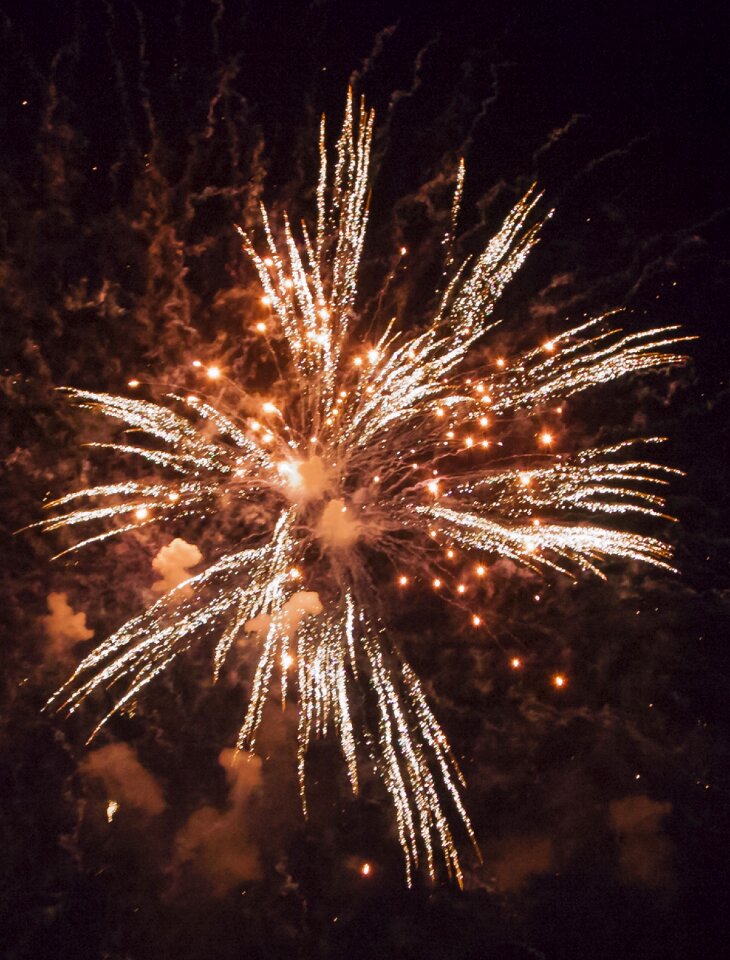 Happy new year star flower