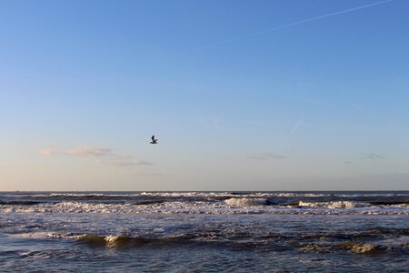 Water waves north sea photo