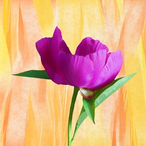 Art artwork creative