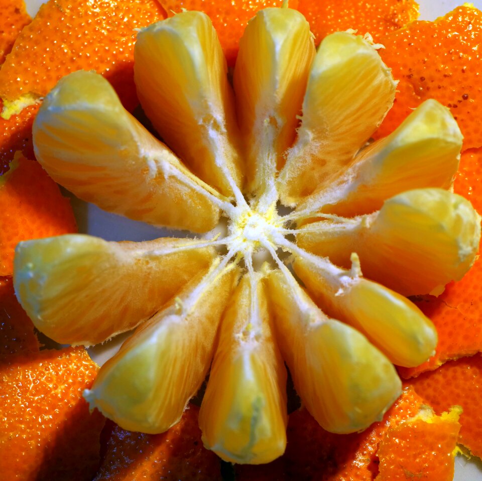 Citrus light replacement lamp