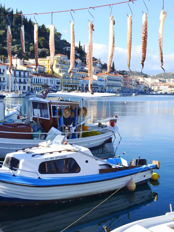 Dry octopus tradition boats