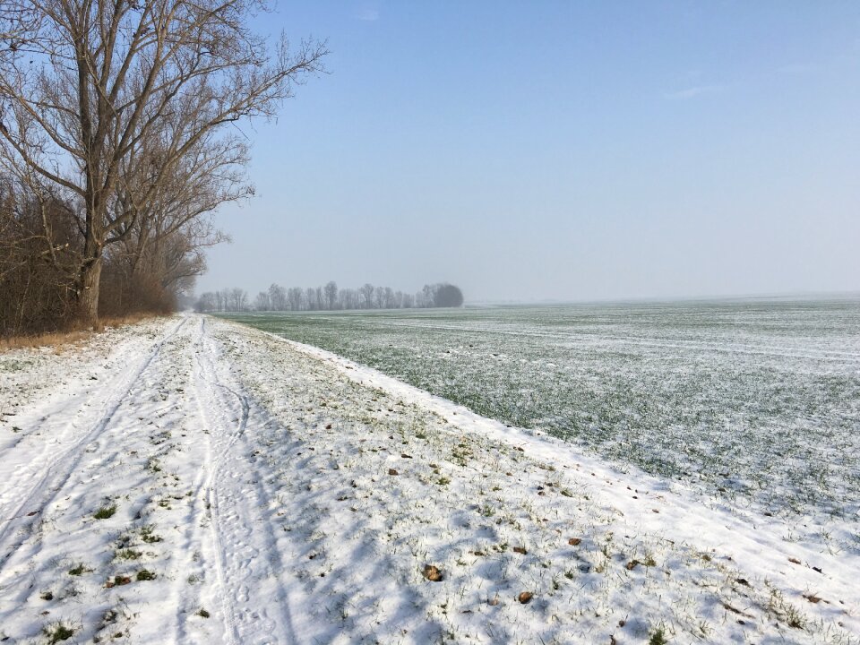 Winter wintry snowy