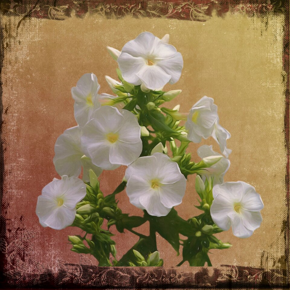 Artwork creative digital art