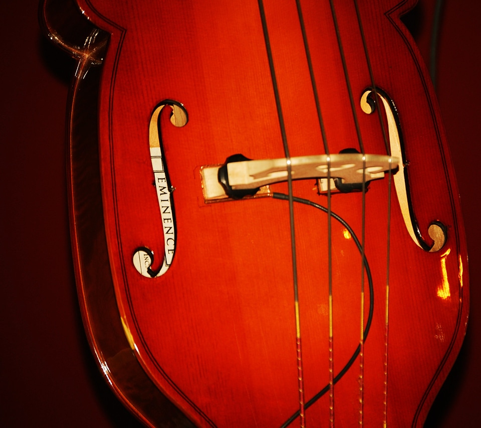 String celo musical