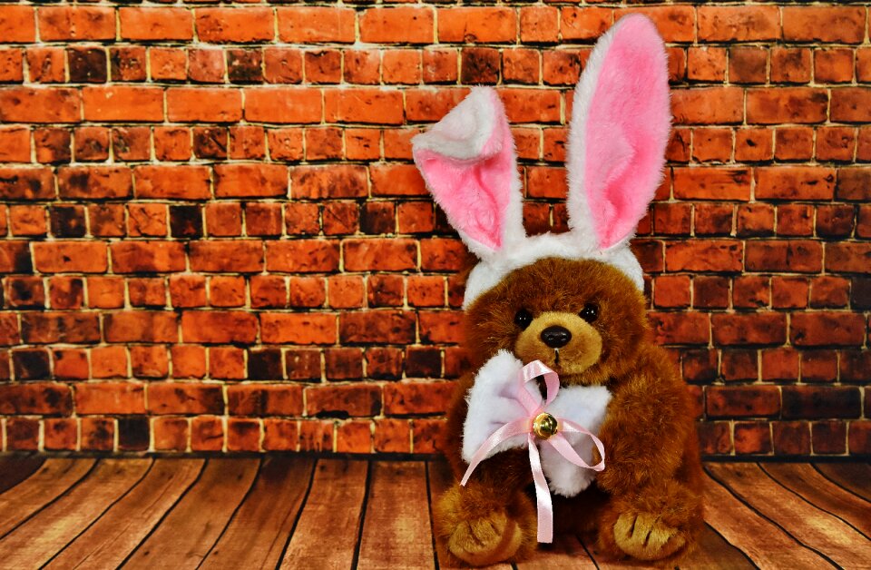 Easter funny teddy