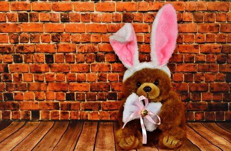 Easter funny teddy photo