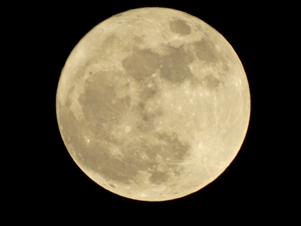 Black brown moon