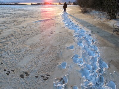 Wintry dusk traces