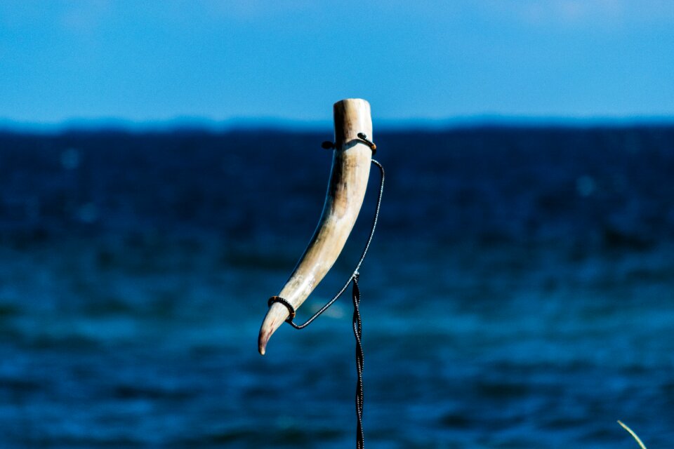 Horn ancient history
