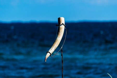Horn ancient history